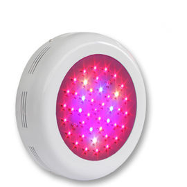 Полный свет Ip65 100 Lm/w 2700 завода спектра - 6500k, крытое СИД растут свет