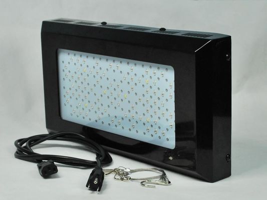 Завод высокой интенсивности красный и голубой СИД растет Ligh 3watt для крытого освещения огорода