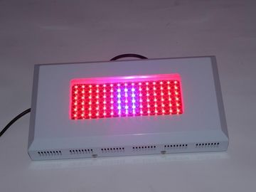 СИД наивысшей мощности Hydroponic растет AC 85 Lightst 1watt | 264V, парник растут света