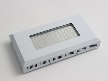 Высокий завод СИД светового эффекта растет светлые света 90w, голубых и красных СИД для расти