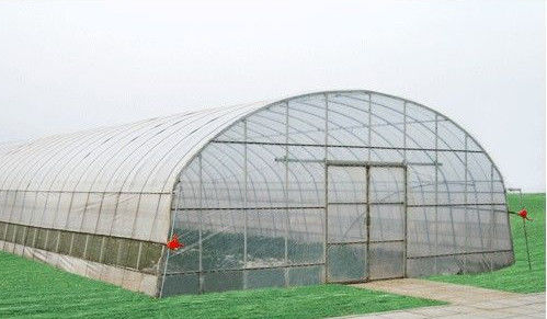парник тоннеля коммерчески парников пяди 10000mm экономичный