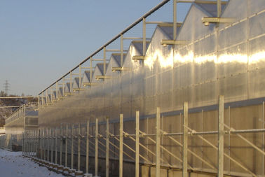 3 зиги в пядь Multi - span парники поликарбоната коммерчески, раздел 4000mm