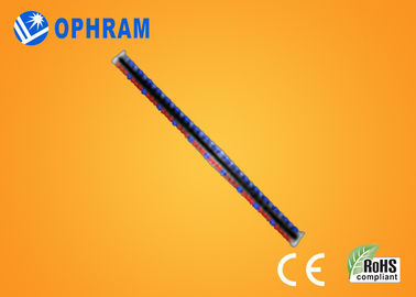 Высокая яркость Epistar СИД IP65 красное и голубое растет света с CE/ROHS