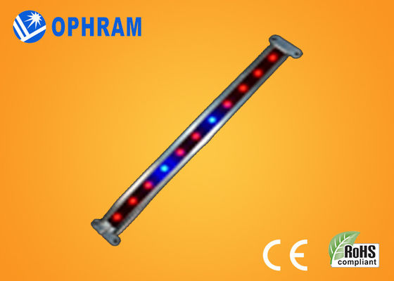 10W SMD СИД 2835 Vegetable/цветя растут света с углом пучка 180°