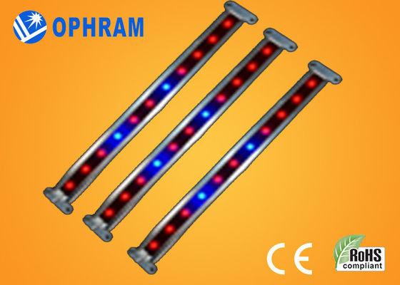 10W SMD СИД 2835 Vegetable/цветя растут света с углом пучка 180°