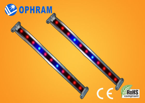 10W SMD СИД 2835 Vegetable/цветя растут света с углом пучка 180°