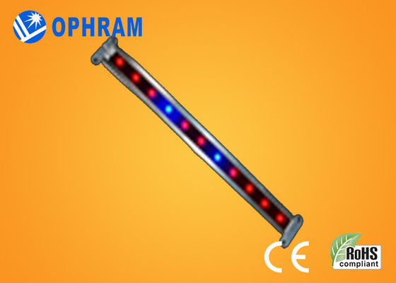 10W SMD СИД 2835 Vegetable/цветя растут света с углом пучка 180°