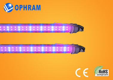 СИД спектра 230V/240V 50Hz/60Hz полное растет света для овоща